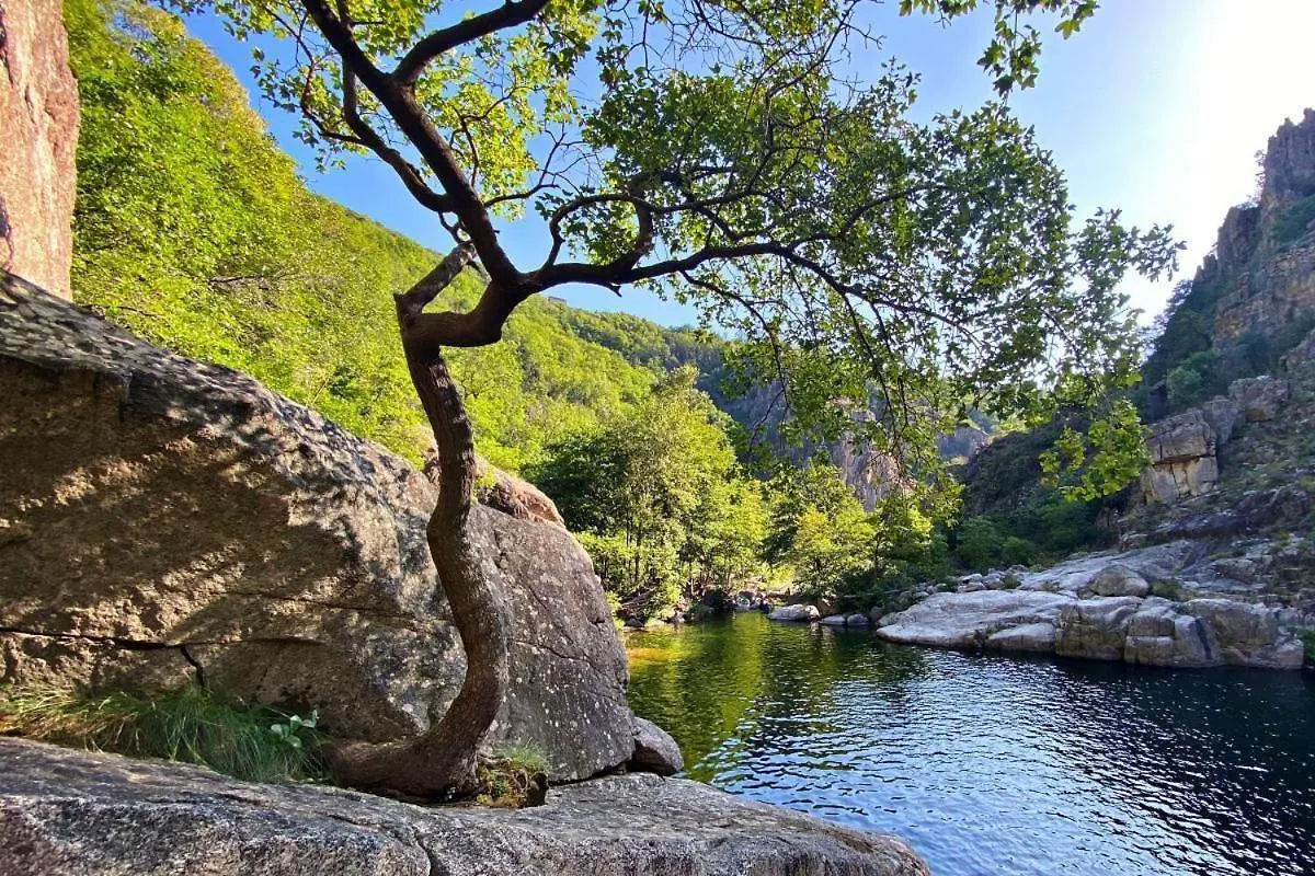 Campingplatz Bien Etre En 5 Etoiles Au Coeur Du Sud Ardeche, Domaine De Chaussy, Rivieres Vignobles Et Villages Classes Lagorce